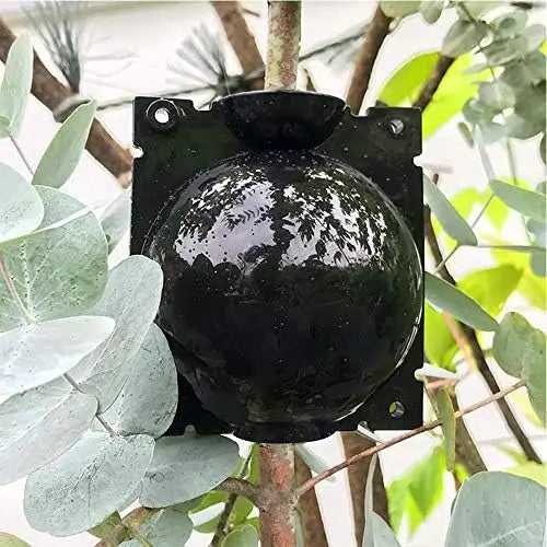 🌱Caja de cultivo de raíces de plantas 3 unidades